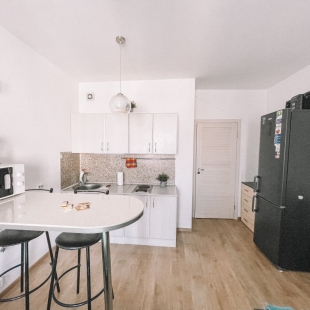 Фотография квартиры Апартаменты Cozy bright Комендантский 71