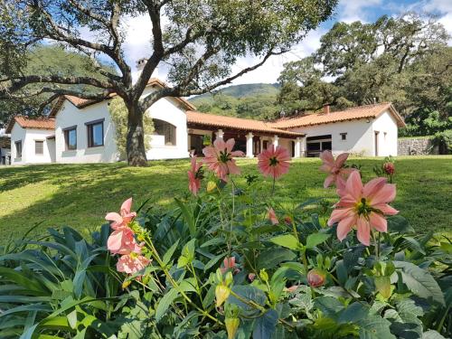 Фотография мини отеля Hotel Torrontes