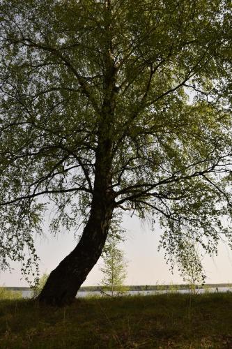 Фотографии гостевого дома
Дом для душевного отдыха