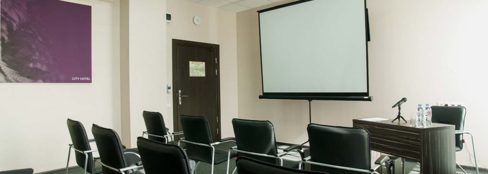 Фотография конференц-зала City Hotel Sova на 12 человек