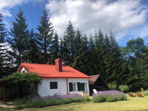 Фотографии гостевого дома 
            Lavender Cottage Lukovo