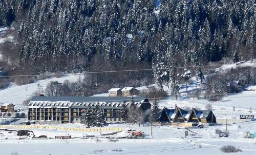 Фотография гостиницы Panorama Mgzavrebi in Bakuriani #27