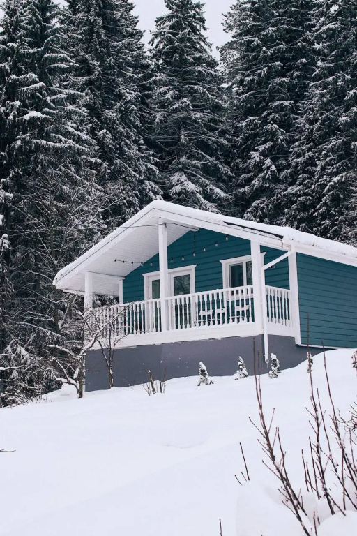 Фотография Коттеджа Частный дом Forest hut