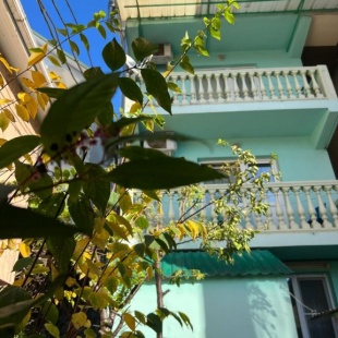 Фотография мини отеля Skyland