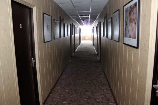 Фотографии гостиницы 
            Стрекоза