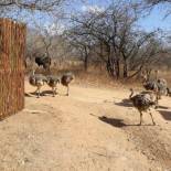 Фотография гостевого дома Eagle's Crest