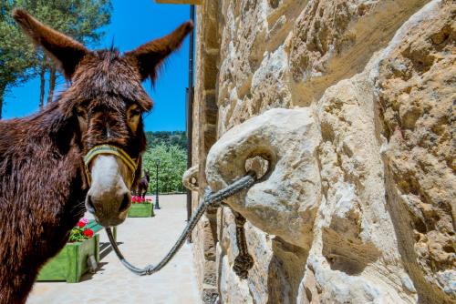 Фотография мини отеля La Quercia e l'Asino