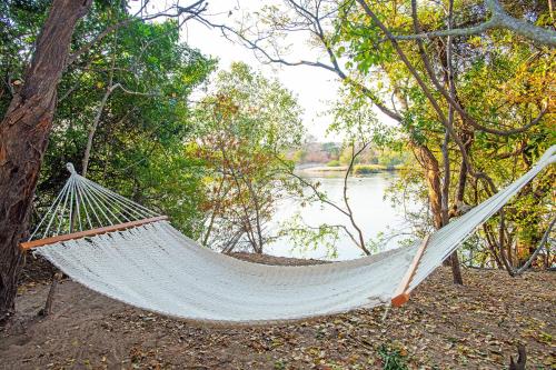 Фотография базы отдыха Tsowa Safari Island