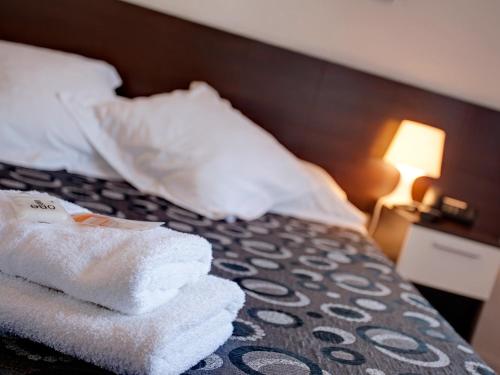 Фотография гостевого дома Hostal Besaya