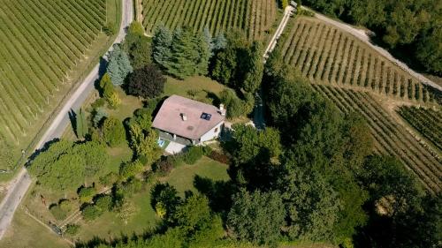 Фотография гостевого дома Casa Vacanze Selva