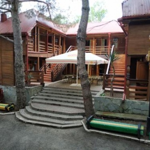 Фотография гостиницы Сосновый бор