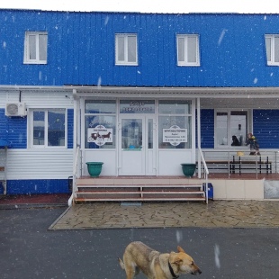 Фотография гостиницы Дилижанс