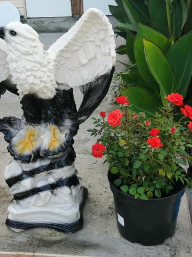 Фотографии гостевого дома
У Марины