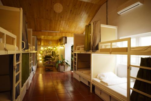Фотография хостела Hanoi EcoStay hostel