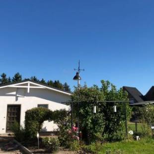 Фотографии гостевого дома
Ferienhaus mit Garten