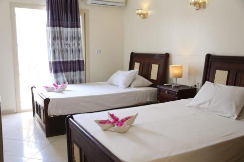 Фотографии гостиницы
New Dahab Bay hotel