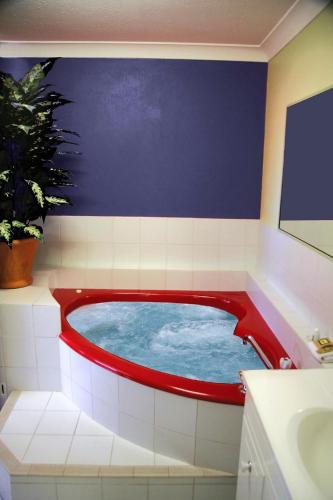 Фотография мотеля Avlon Gardens Motel