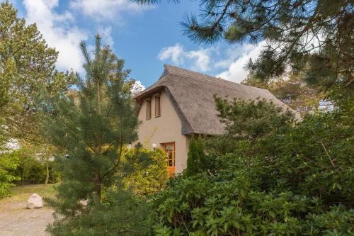 Фотографии гостевого дома
Doppelhaushälfte Wustrow