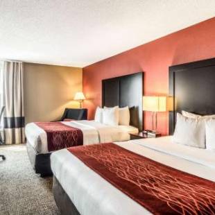 Фотографии гостиницы 
            Comfort Inn Convention Center-Chicago O’hare Airport