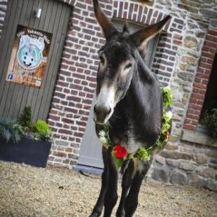 Фотографии гостевого дома
L'anerie de Sourbrodt