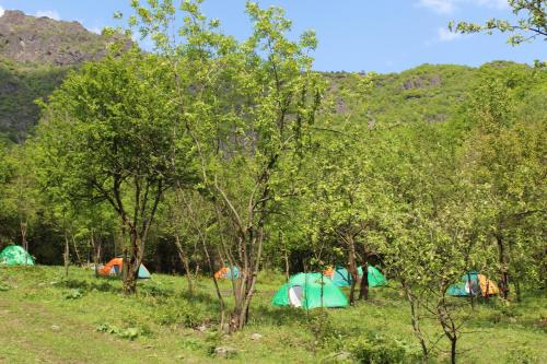 Фотография кемпинга City Sedvi