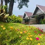 Фотография гостиницы All At Sea Beach Resort