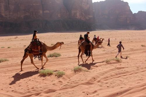 Фотографии кемпинга
Red Mountain Camp