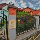 Фотография гостевого дома Casa Adam