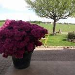 Фотография гостевого дома Agriturismo Pozzo Fiorito