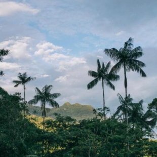 Фотография гостевого дома Sítio Valfenda Itatiaia