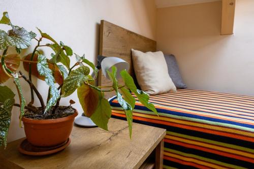 Фотография гостевого дома Villa Jana