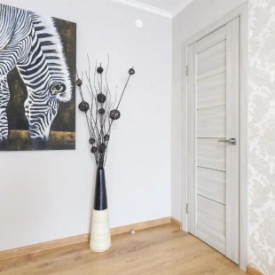 Фотография квартиры Апартаменты Трёхкомнатные Центр, Ленинский 29, Колибри#29