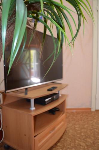 Фотографии гостиницы
Белый Кот