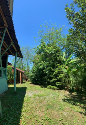 Фотография гостевого дома Wooden House Tsikhisdziri