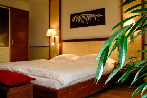 Фотография гостиницы Dabas Hotel