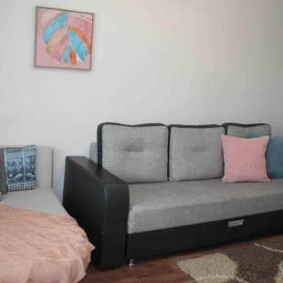 Фотография квартиры Апартаменты на Серышева 74