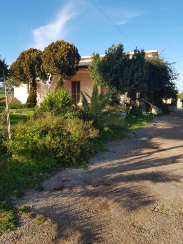 Фотография гостевого дома Affittacamere Ternulla