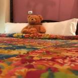 Фотография мини отеля Hualien Paris Home B&B