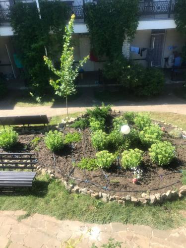 Фотография гостиницы AZOV ROYAL