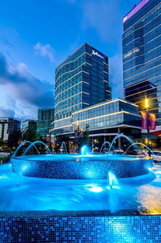 Фотография гостиницы Radisson Blu Hotel, Vadistanbul