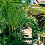 Фотография гостевого дома TAGBALAYON Lodging House