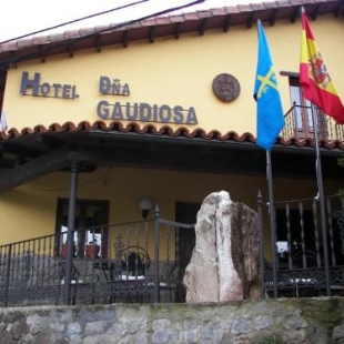 Фотография гостиницы Hotel Doña Gaudiosa