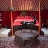 Фотография мини отеля Crazy Lounge BnB