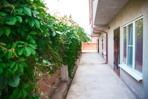 Фотография гостевого дома Forest