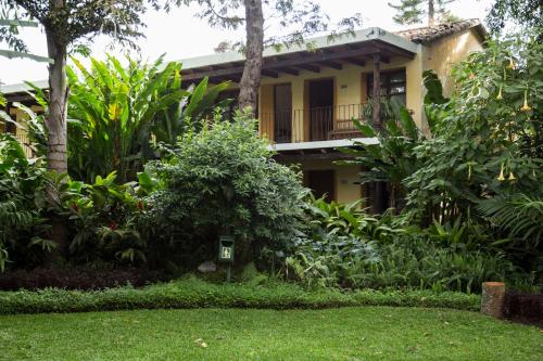 Фотография гостиницы Hotel Las Farolas