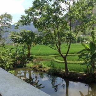 Фотографии мини отеля
Quân Hằng Homestay