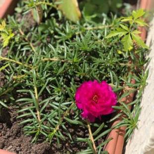 Фотографии гостевого дома
Casa Verde na Chapada Diamantina