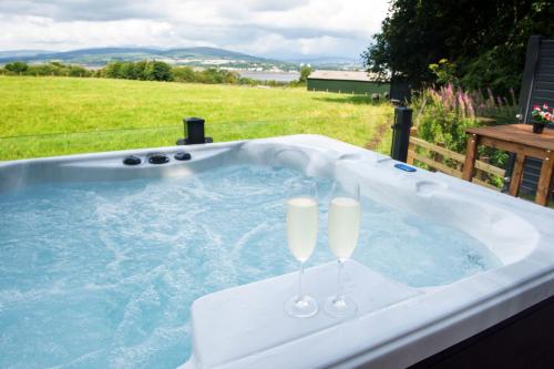 Фотографии гостевого дома 
            Luxurious Super-king Lodge with hot tub