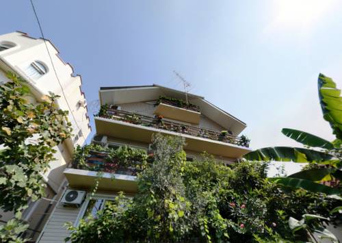 Фотография гостевого дома Ольга