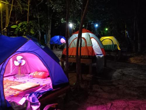 Фотография базы отдыха Sweet Jungle Tents